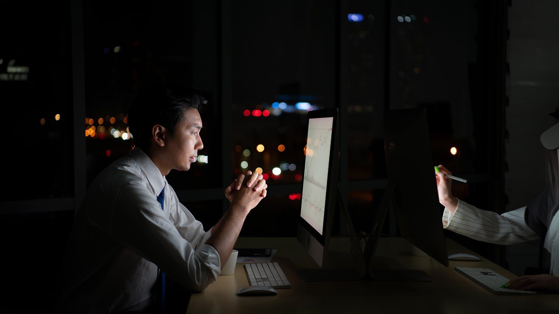 Bachelor of Finance and Economics (Hons)